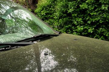 Yellow pollen sitting on the hood of a black car